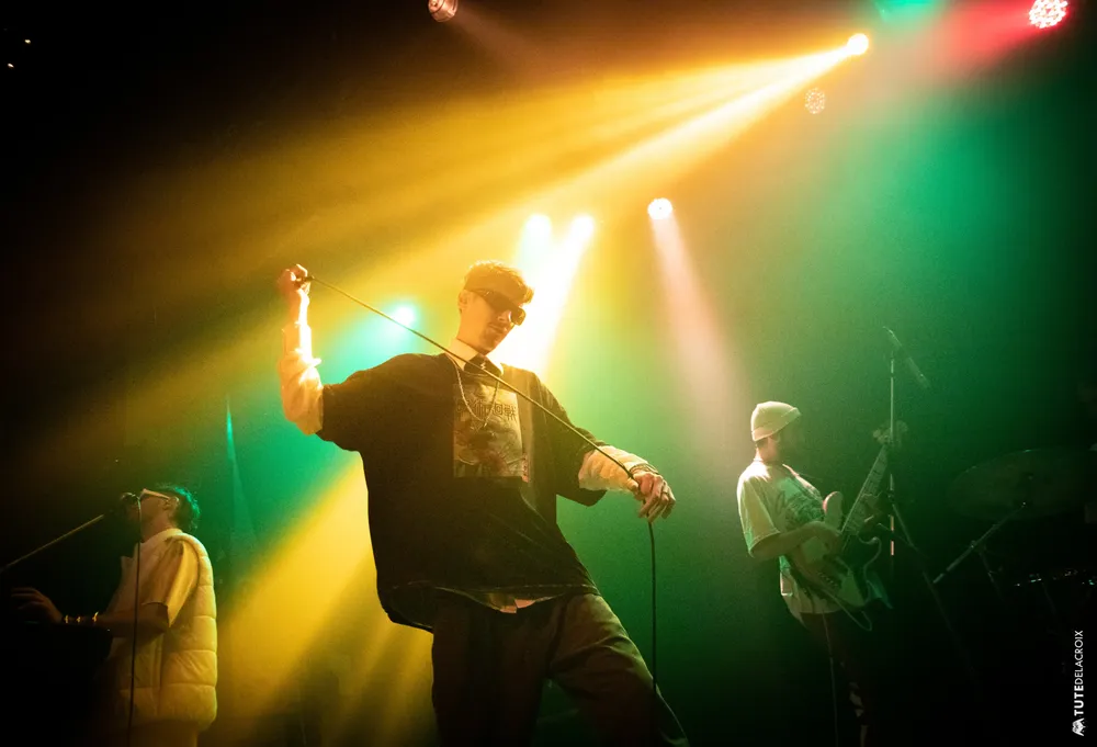 Subeibaja Electrico - ph Tute Delacroix113